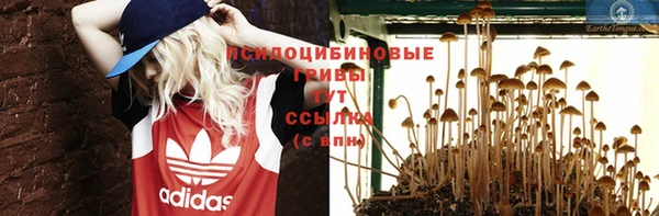 амфетамин Заводоуковск