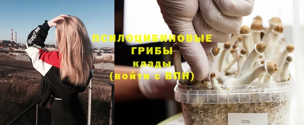 амфетамин Заводоуковск