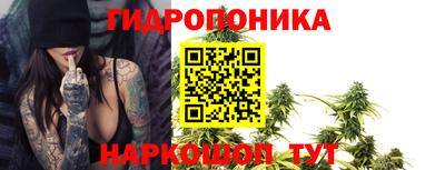 шишки Абинск