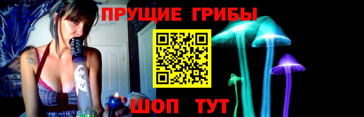 Галлюциногенные грибы Psilocybe  Вход с VPN  Россия 